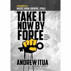 TAKE IT NOW BY FORCE: Your Destiny Is Within Reach, You Can Do It